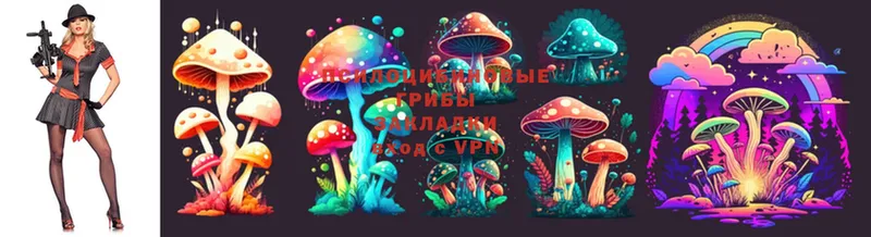 где найти наркотики  Лахденпохья  Галлюциногенные грибы Cubensis 